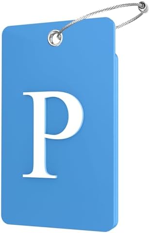 Gostwo 2 Pack Initial Luggage Tags for Suitcases Airplane Travel Essentials by Gostwo