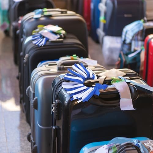 Breling 2 Pcs Luggage Pom Poms for Suitcases Funny Luggage Identifiers Pom Tags for Suitcase Backpack, Knotted Strap(Blue, White) - Image 3